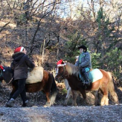 Promenade de Noel a poney