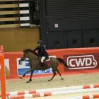 Tango Charly Tilia et Luna poney 1 d'equita 2016