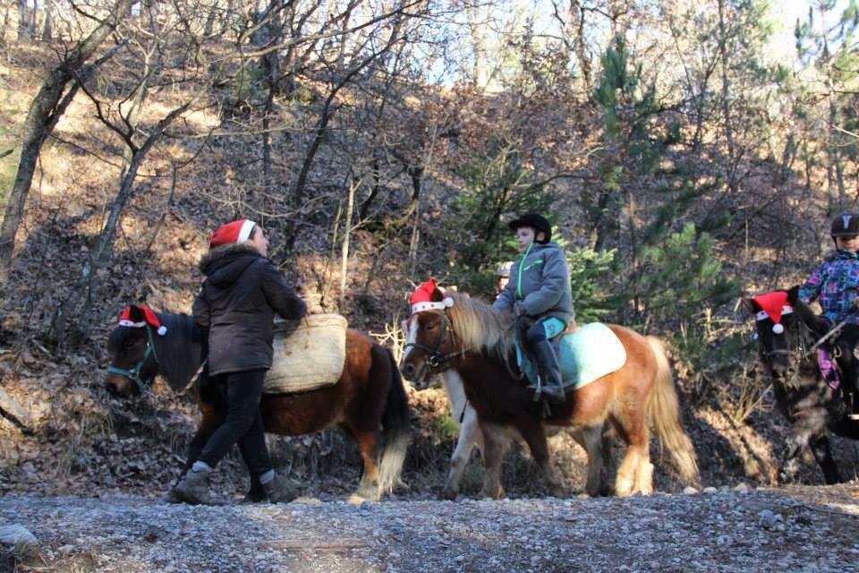 Promenade de Noel a poney